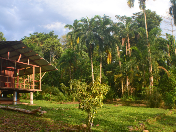 facilities 01