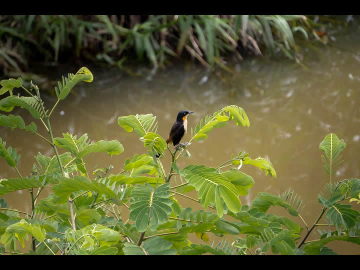 facilities 128