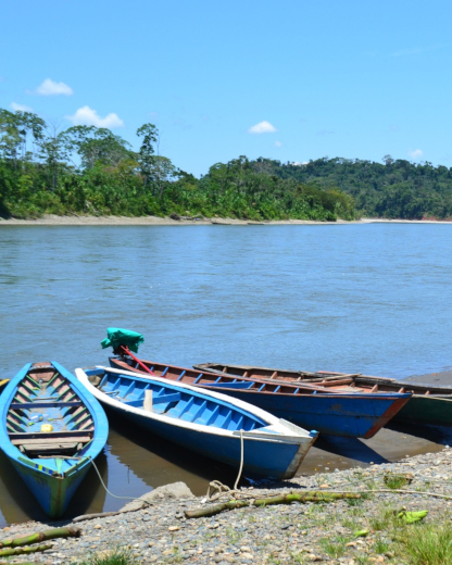 Three boats by the riverbank in front of Erika Lodge
