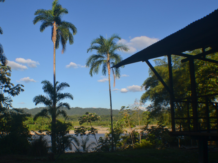 River view from the shore
