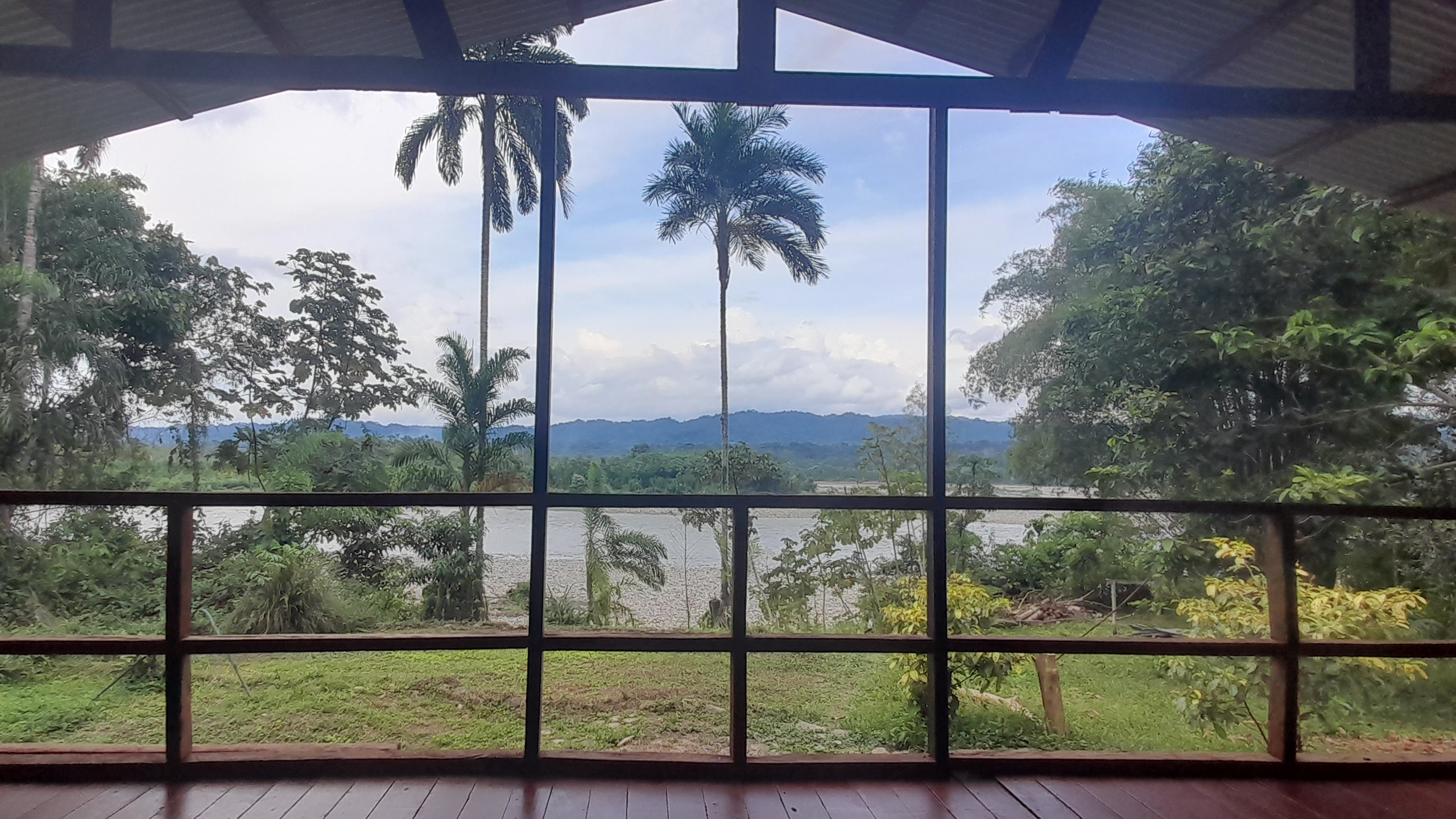 Dawn light over the Manu rainforest canopy